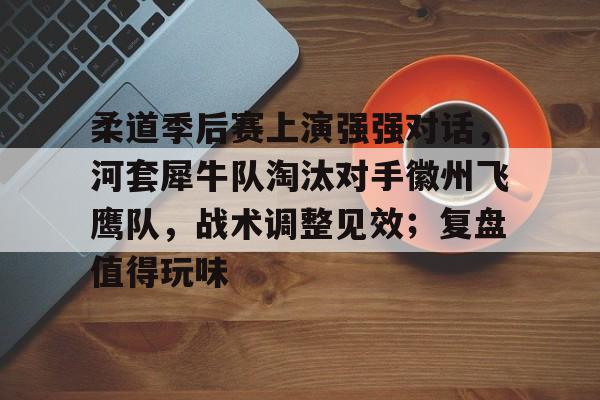 爱游戏-柔道季后赛上演强强对话，河套犀牛队淘汰对手徽州飞鹰队，战术调整见效；复盘值得玩味的简单介绍