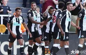 纽卡斯尔发布备战花絮；转会期官宣签约；德国杯任务艰巨；资深球员宣示担当(纽卡斯尔百度贴吧)