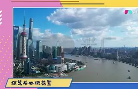 费耶诺德vs埃因霍温决赛